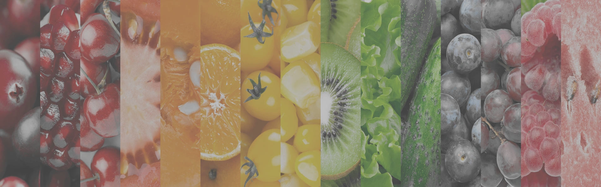Vitamin and Mineral Supplements